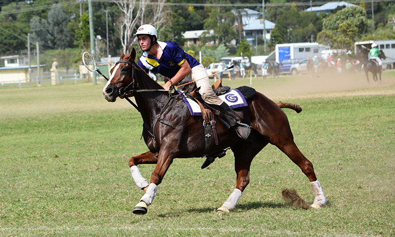 horse rider