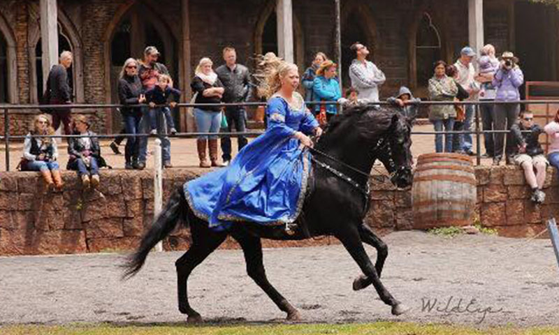 horse rider